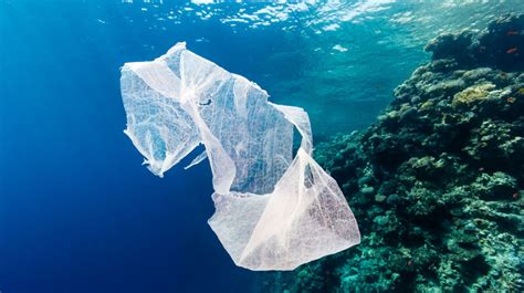 okyanuslardaki plastik atiklar kayboluyor al jazeera turk