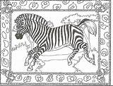 Zebra Coloring Pages Zebras Kids Printable Adult Head Color Print Animal Cute Colouring Preschool Sheets Giraffe Zoo Getcolorings Animals Peace sketch template