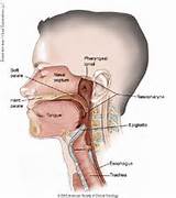 Photos of Nasopharyngeal Cancer Chemotherapy