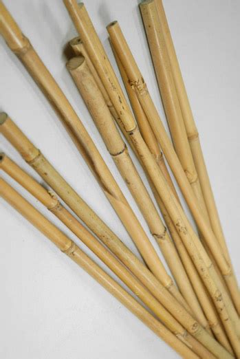 bamboo poles  pack  natural