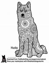 Coloring Husky Dog Book Theblissfuldog Siberian Adult sketch template