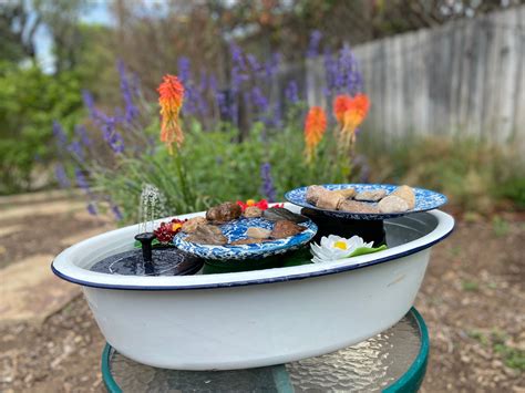 diy create   hummingbird spa neighborhood news