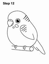 Budgie Cartoon Draw Drawing Bird Parakeet Cute Step Carefully Marker Inking Permanent Pen Lines Using Go After Over Make How2drawanimals sketch template