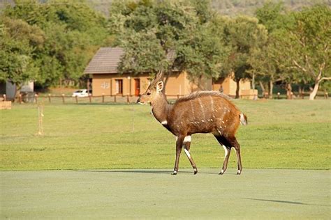 magalies park prices resort reviews hartbeespoort south africa
