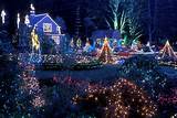 Pictures of Holiday Lights