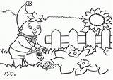 Coloring Garden Kids Pages Flowers Watering Boy El Popular sketch template