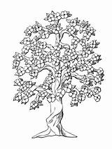 Coloring Pages Tree Credit Info Save sketch template