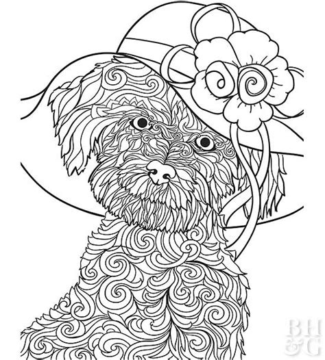 maltese dog coloring tattoo coloring pages