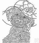 Coloring Maltese Dog Tattoo Pages Template sketch template