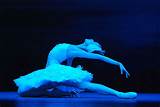 Ballet Swan Lake Photos
