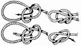 Bowline Knot Clipart Etc Knots Drawing Tying Bow Usf Edu Steps Easy Getdrawings Line Medium Tiff sketch template