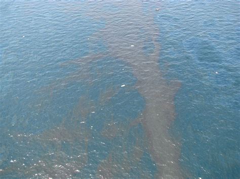 deepwater horizon oil spill summary effects  clean