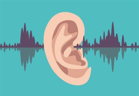 scientists closer  understanding   ear perceives speech imperial news imperial