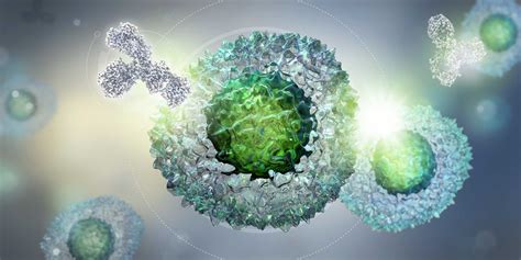 Immune Checkpoint Inhibitors A New Cancer Treatment Bpacnz My Xxx Hot