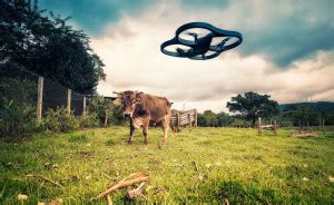 amazons petition  exemption  fly drones commercially jeremy felt