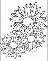Coloriage Marguerites Imprimer Line Artherapie Plantes Bouquet sketch template