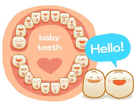 baby teeth chart kids oral care colgate