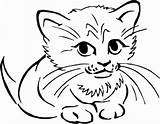 Cat Simple Face Easy Drawing Coloring Pages Getdrawings sketch template