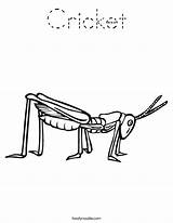 Grasshopper Cricket Gafanhoto Desenhos Noodle Twisty Pintarcolorir Colorir Clipartmag sketch template