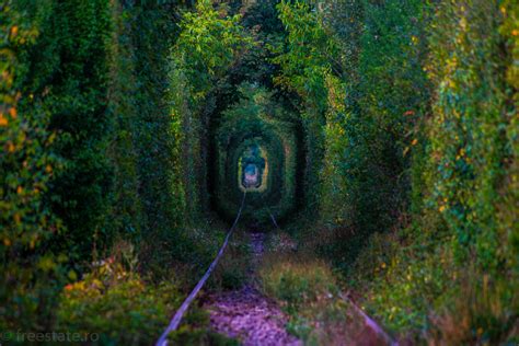 Tunnel Of Love Freestate