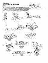 Stretching Back Exercises
