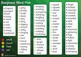 Tropical Rainforest Vocabulary Words Pictures