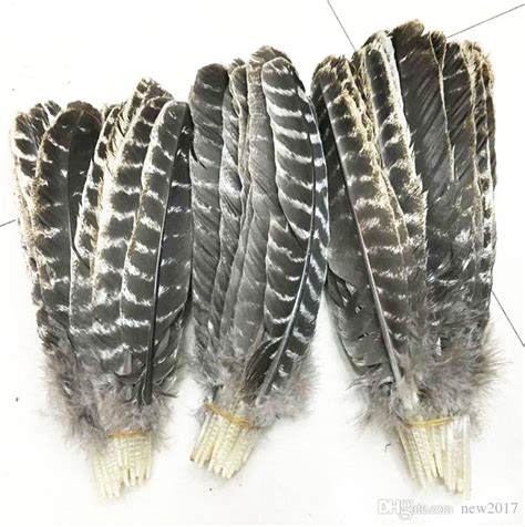 Wholesale Beautiful Precious Wild Turkey Tail Feathers 8