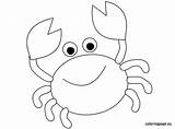 Crab Coloring Pages Cartoon Easy Color Maryland Animal Printable Fish Cute Colouring Drawing Coloringpage Eu Kids Crabs Print Summer Patterns sketch template