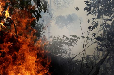amazon wildfire  brazilian rainforest fire continues  blaze photogallery