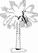 Tree Palmetto Carolina South Coloring Pages Printablecolouringpages sketch template