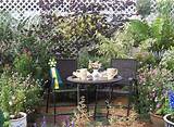 Images of Patio Garden Ideas Pictures