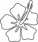 Flowers Drawing Hawaii Hawaiian Hibiscus Easy Draw Getdrawings sketch template