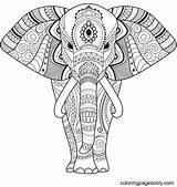 Elephant African Zentangle sketch template