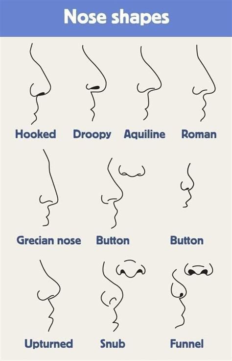 types  noses     unique dont change  rcoolguides