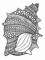 Mandalas Seashell Zentangle Muscheln Muschel Malvorlagen Niños Malen Book Mejores Feder Fichaslomahermosa Hippocampe Tiere Schriften Marinas Zeichnungen Zeichnung Federzeichnungen книги sketch template