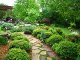 Landscaping Ideas Pictures Images