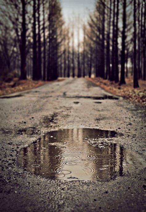 Love Quotes Funny Cute