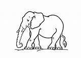 Cartoon Elephant Coloring Pages Kids sketch template