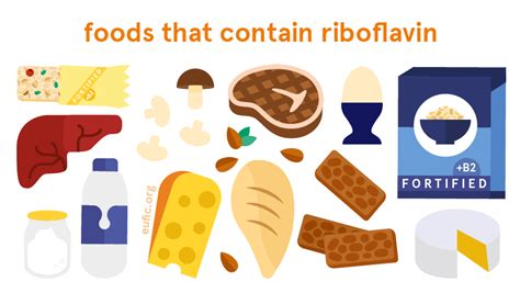 Riboflavin Vitamin B2 Foods Functions How Much Do You Need And More