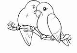 Burung Mewarnai Lovebird Lucu sketch template