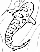 Shark Coloring Pages Leopard Megalodon Printable Clipart Print Tiger Baby Drawing Kids Whale Color Drawings Line Cool Hammerhead Template Printables sketch template