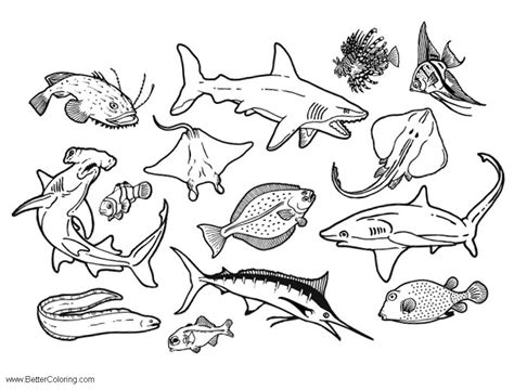 ocean life   sea coloring pages  printable coloring pages