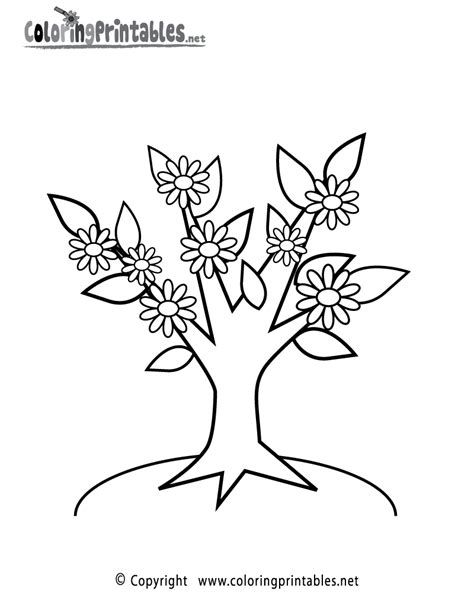 tree flowers coloring page   nature coloring printable