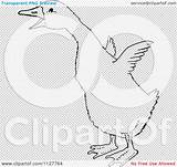 Flapping Gosling Wings Retro Drawing Line Its Vintage Royalty Clipart Cartoon Vector Picsburg sketch template