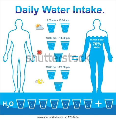 daily fluid intake