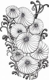 Zentangle Flowers Zendoodle Zentangles Mandalas Doodles Volwassenen Dibujos Bordado Estampados sketch template