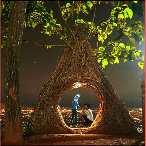 hutan pinus pengger tempat wisata  jogja wisata terbaik  indonesia