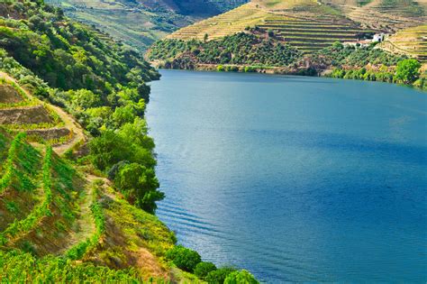 douro valley tours wine tours day trips  river cruises   portugal experts