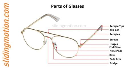 complete guide   parts  glasses names function diagram
