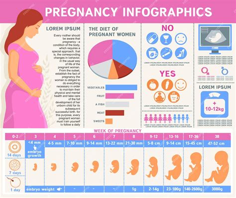 premium vector pregnancy infographic health of pregnant women and